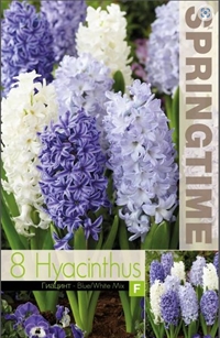 Hyacint mix Blå 8 løg
